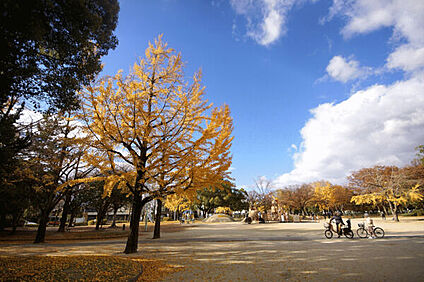 千種公園 758m