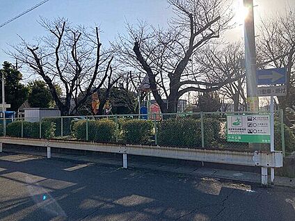 中央公園 655m