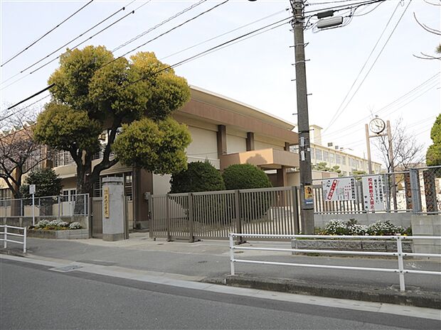 福岡市立千代中学校(約864m)