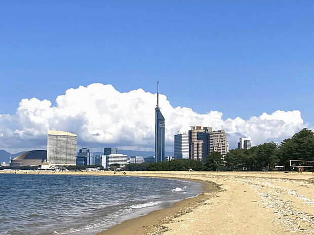 マリナタウン海浜公園(約2,567m)