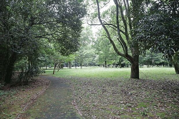 生の松原海岸森林公園広場(約1,203m)