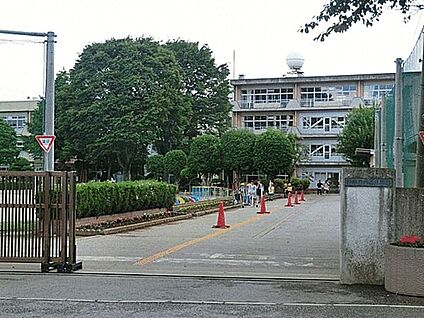 柏市立西原小学校 392m
