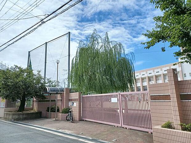 大阪市立古市小学校(約829m)