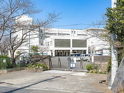 鎌倉市立西鎌倉小学校 1646m