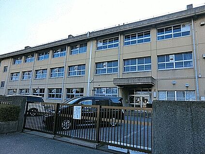 浦安市立富岡中学校 1055m
