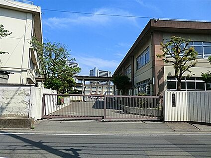川崎市立御幸中学校 453m