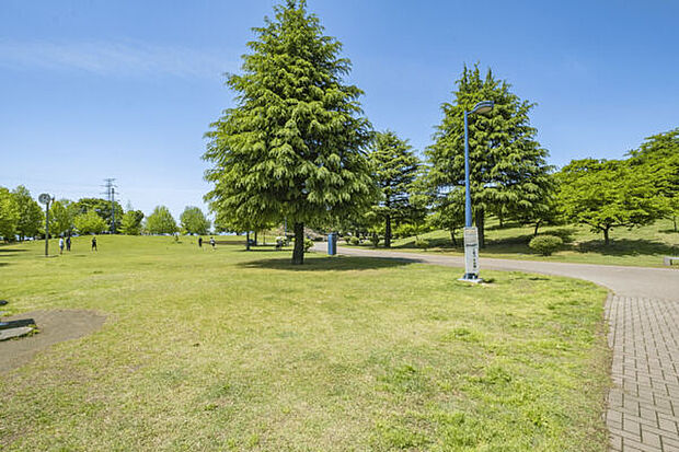 伊勢崎市みらい公園(いせさき市民のもり公園)(約681m)