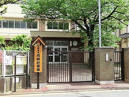川崎市立川崎小学校 782m