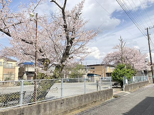 鰭ヶ崎2号公園(約168m)