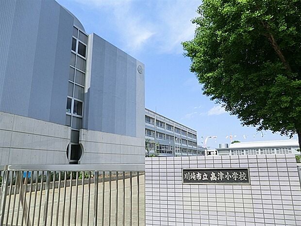川崎市立高津小学校(約325m)