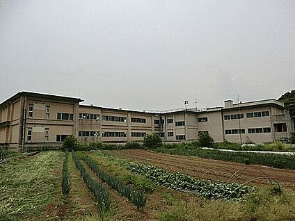 流山市立東部中学校 1167m