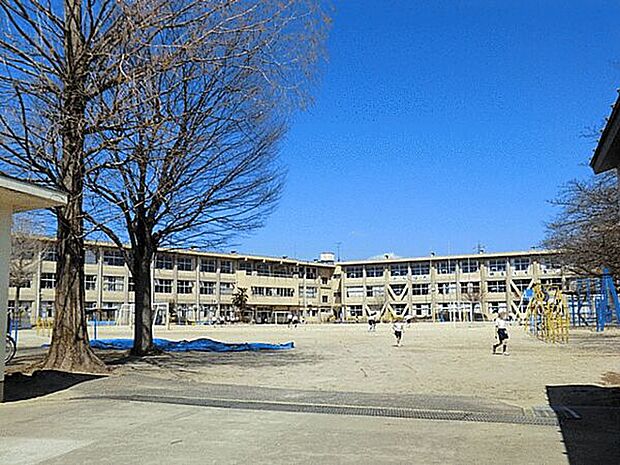 松戸市立小金北小学校(約703m)