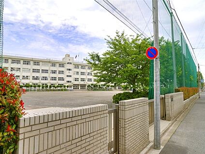 江戸川区立小岩第四中学校 723m