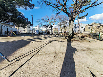 新靭公園 560m