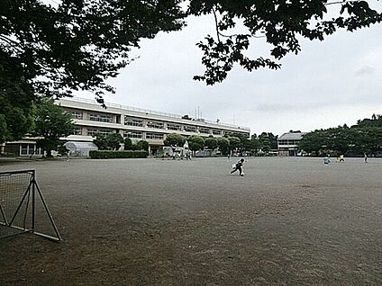 柏市立藤心小学校 1537m