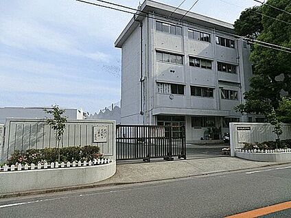 藤沢市立明治中学校 1168m