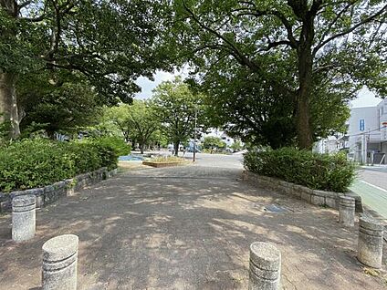 柳川公園 1253m