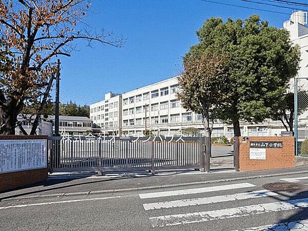 横浜市立山下小学校(約866m)