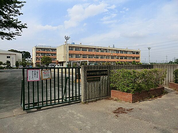 さいたま市立桜山中学校(約1,354m)