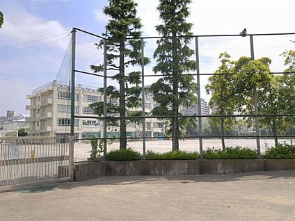 江東区立亀戸中学校 1073m