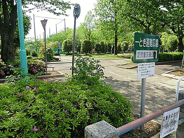 川口芝児童交通公園(約781m)