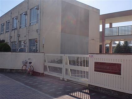 名古屋市立筒井小学校 558m