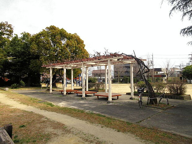 北江公園(約623m)