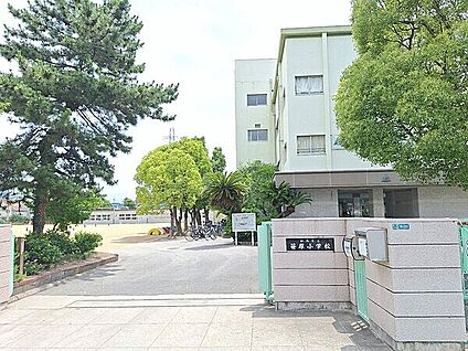 伊丹市立笹原小学校 441m