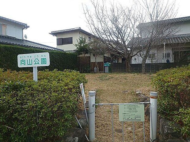 向山公園(約560m)