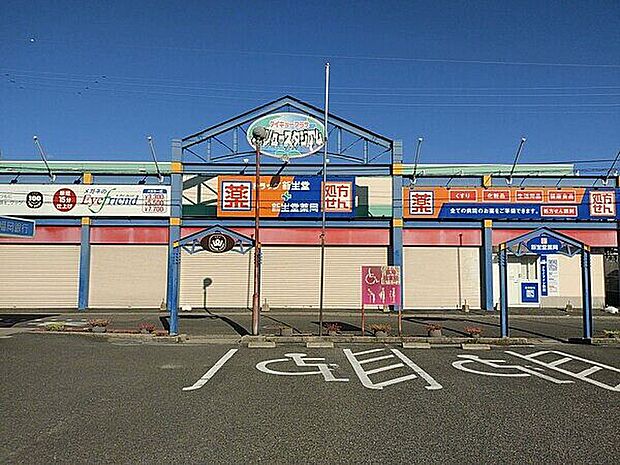 ドラッグ新生堂 弥永店(約985m)
