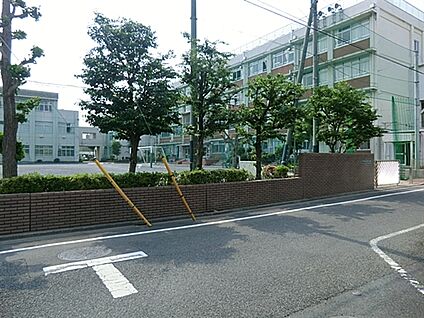 江戸川区立松江第二中学校 229m