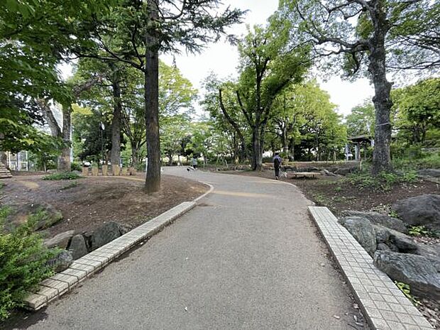 中野区立 平和の森公園(約781m)