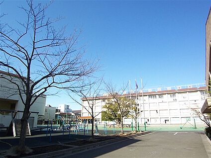墨田区立第二寺島小学校 667m