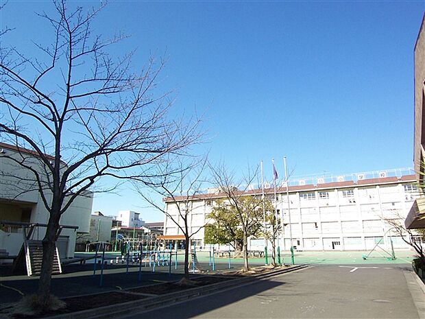 墨田区立第二寺島小学校(約667m)