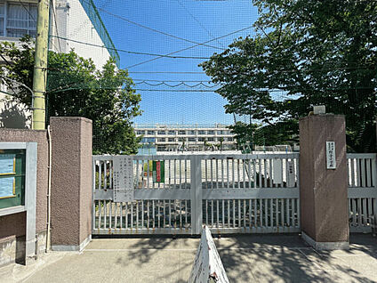 世田谷区立経堂小学校 538m