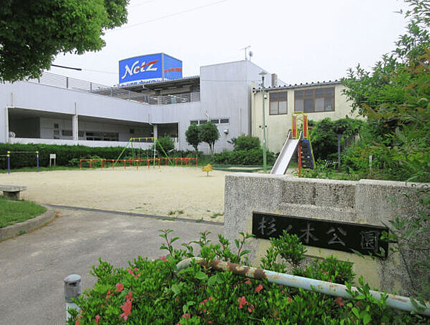 杉ノ木公園(約414m)