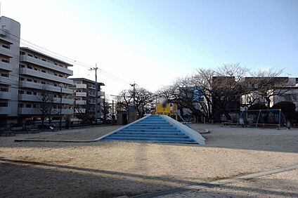 新和公園 1062m