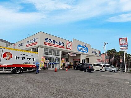 ウエルシア柏酒井根店 525m