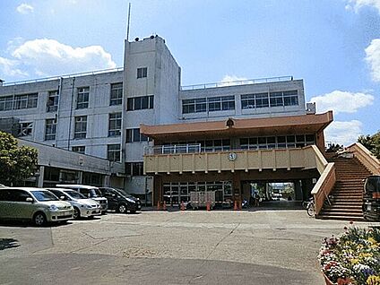 新座市立野寺小学校 343m