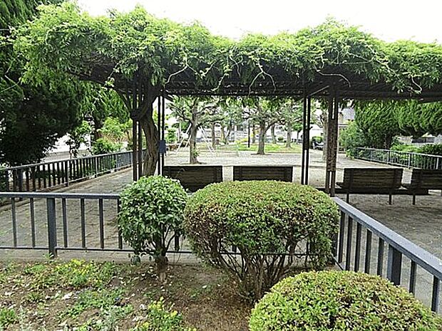 しいの木公園(約498m)