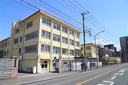 福岡市立草ケ江小学校 1155m