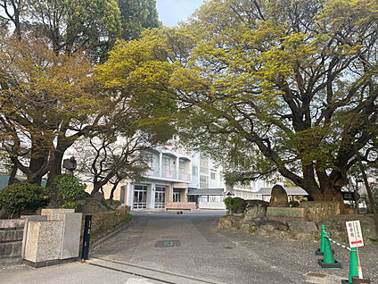 岡崎市立梅園小学校 1036m