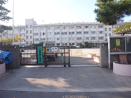 葛飾区立葛飾小学校 707m