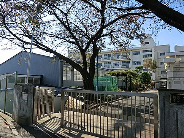 横浜市立篠原小学校（約534m）