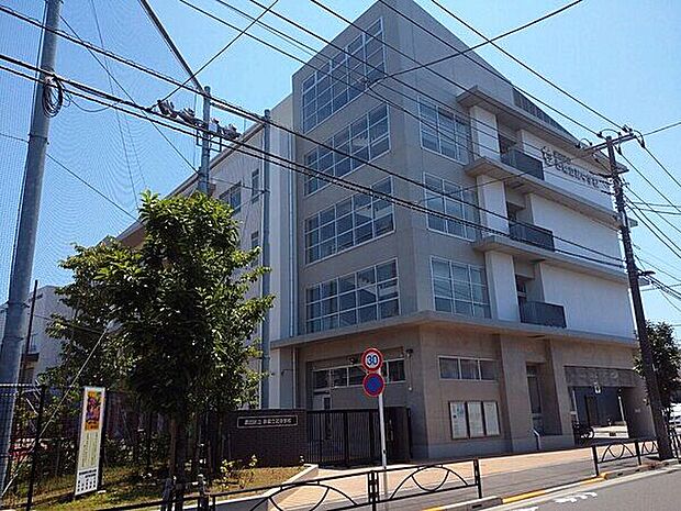 墨田区立吾嬬立花中学校(約795m)