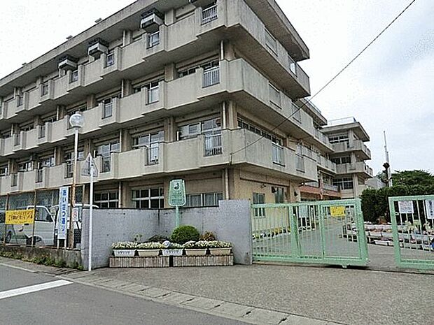 さいたま市立西原小学校(約591m)