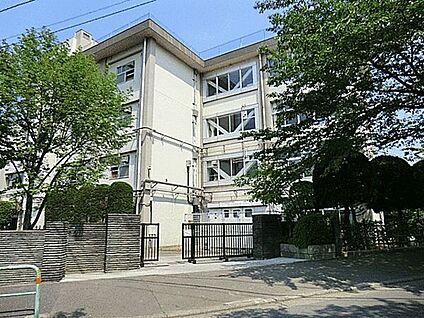 練馬区立八坂中学校 1262m