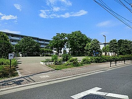 関町風の道公園 1306m