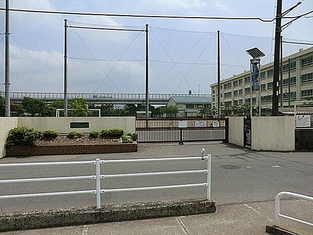 茅ヶ崎市立今宿小学校（約914m）