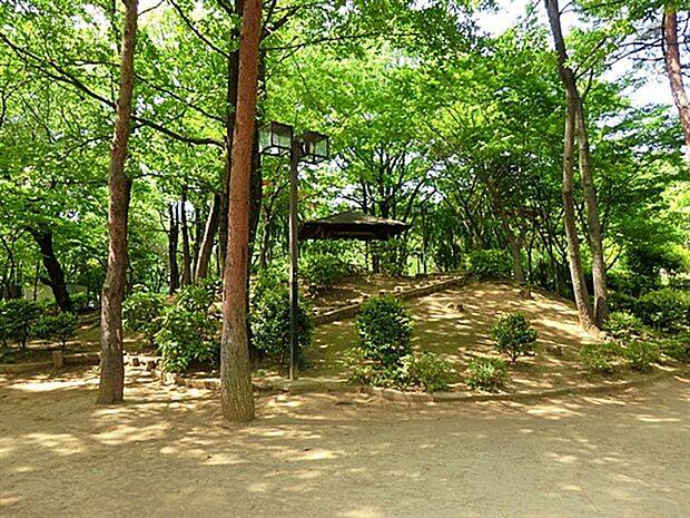 国分寺市立けやき公園(約1,110m)
